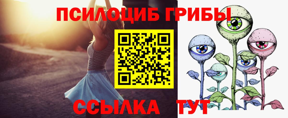 Галлюциногенные грибы ЛСД Сухой Лог